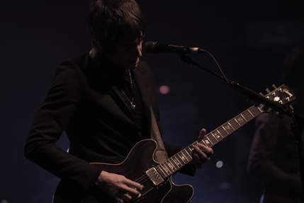 the wombats